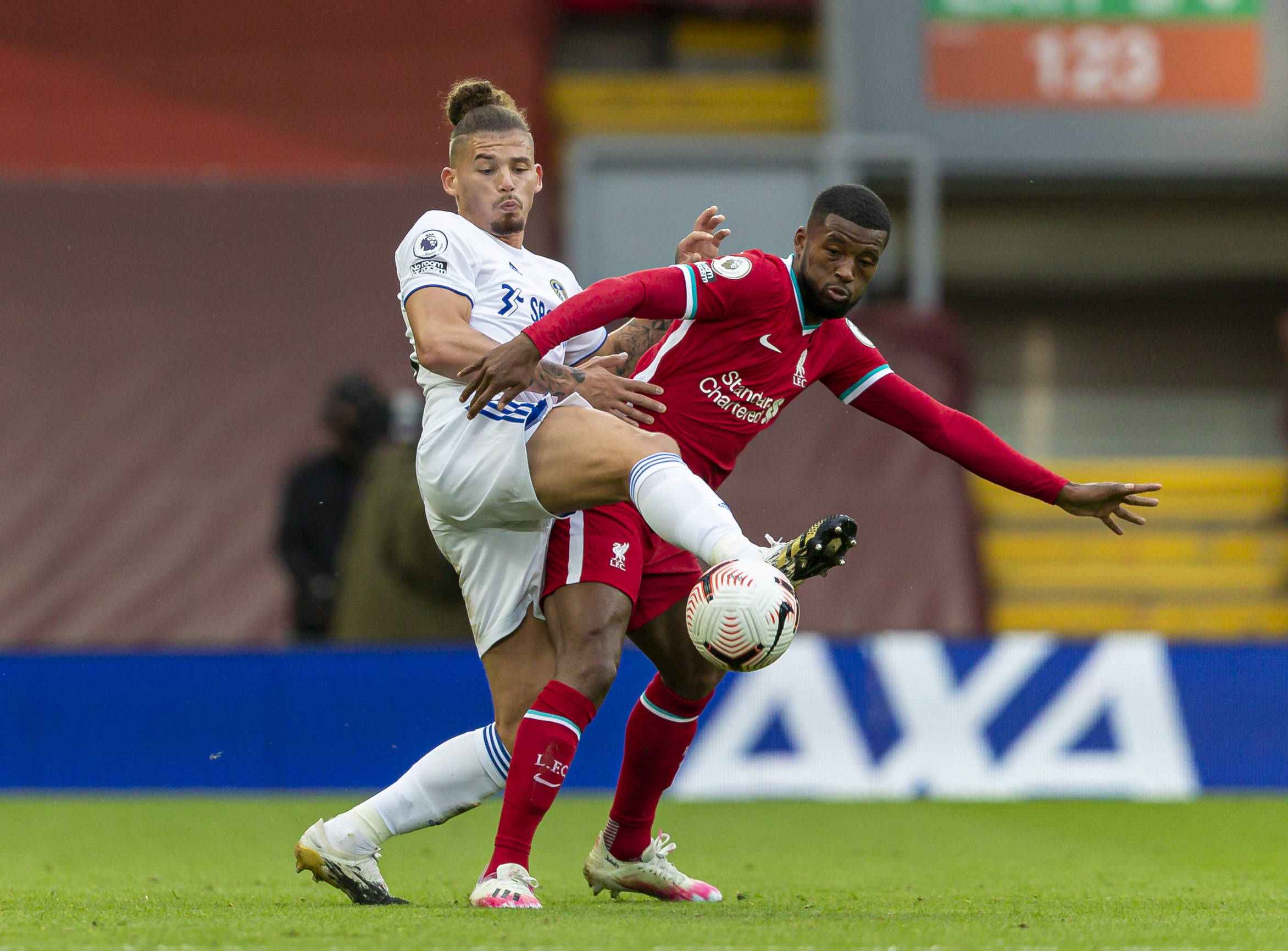 大放异彩 大放异彩